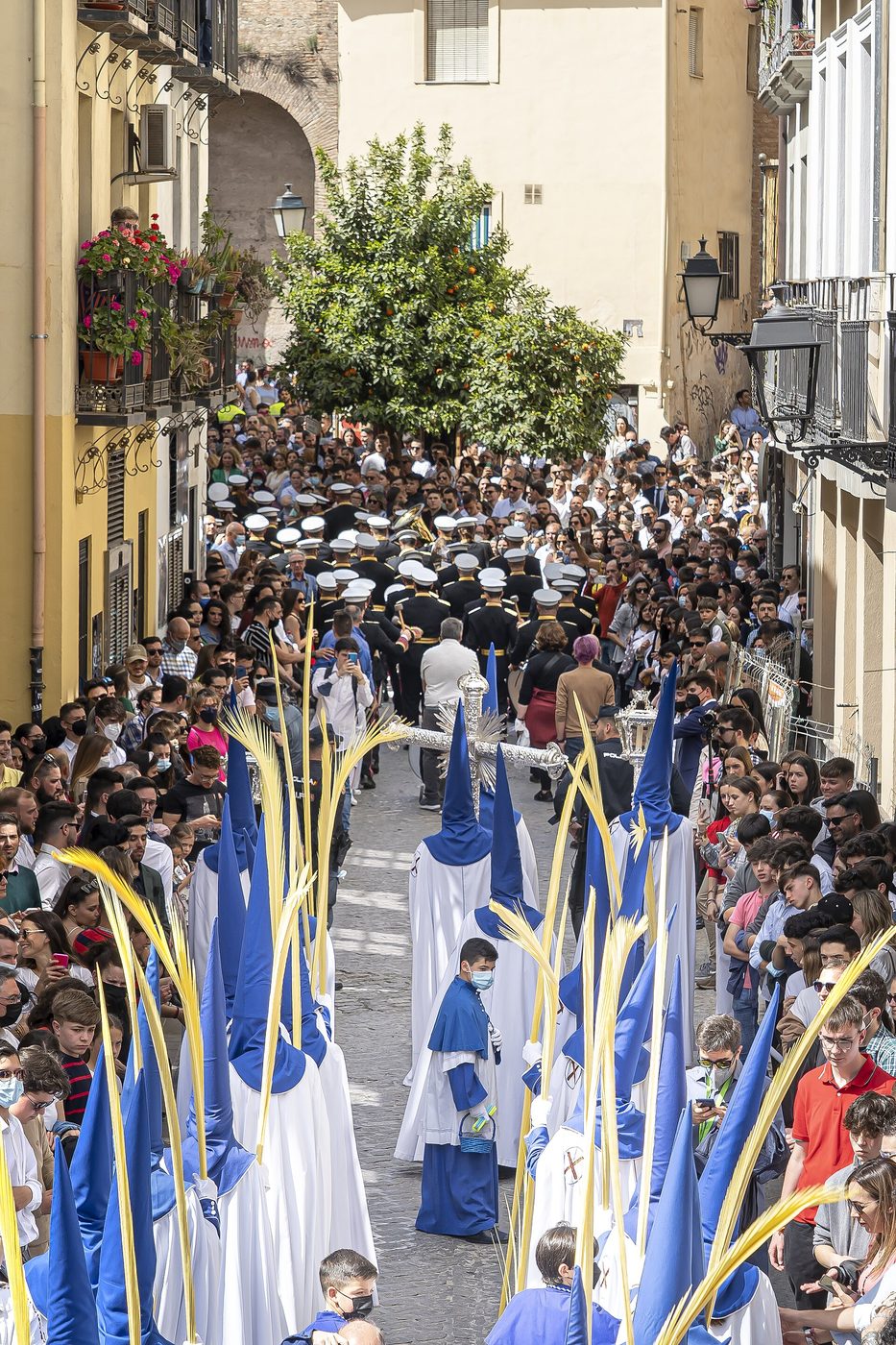 Cortejo de palmas de la Borriquilla por una calle de Granada